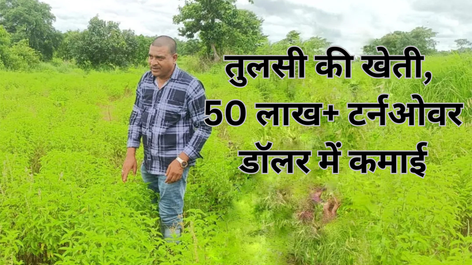 तुलसी वाले आलोक पटनायक